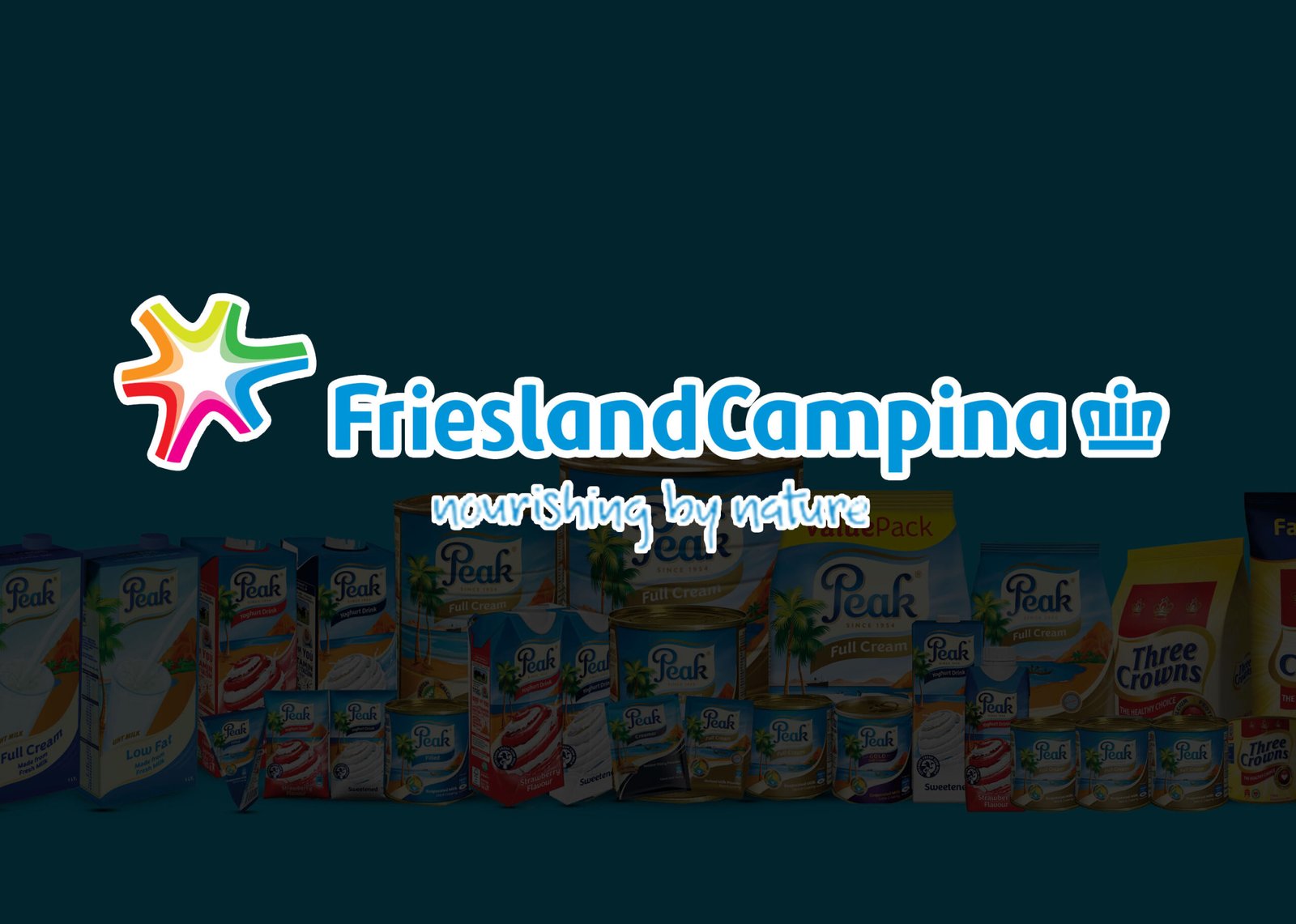 FRIESLAND CAMPINA LOGOArtboard 1 (1)