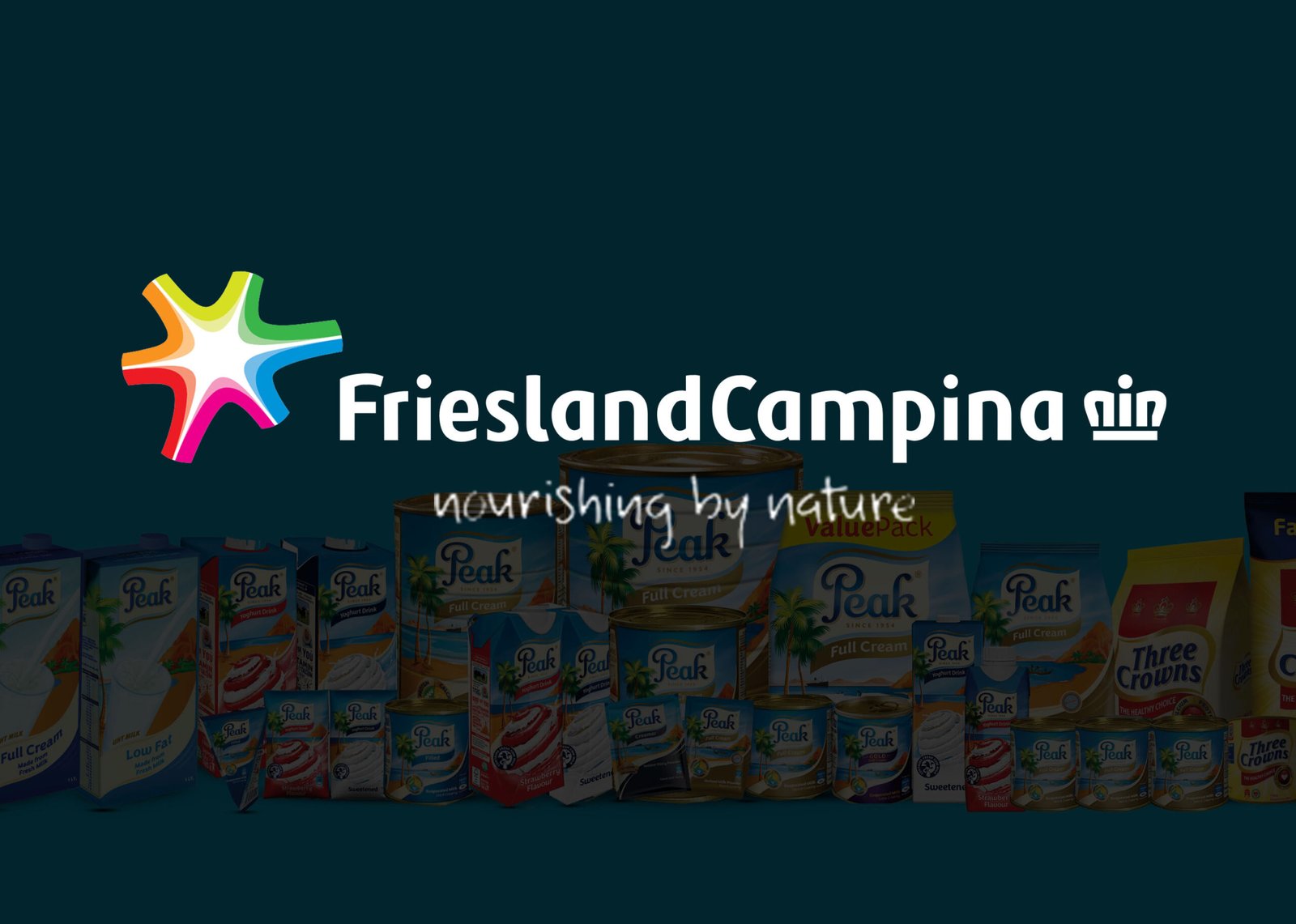 FRIESLAND CAMPINA LOGOArtboard 1