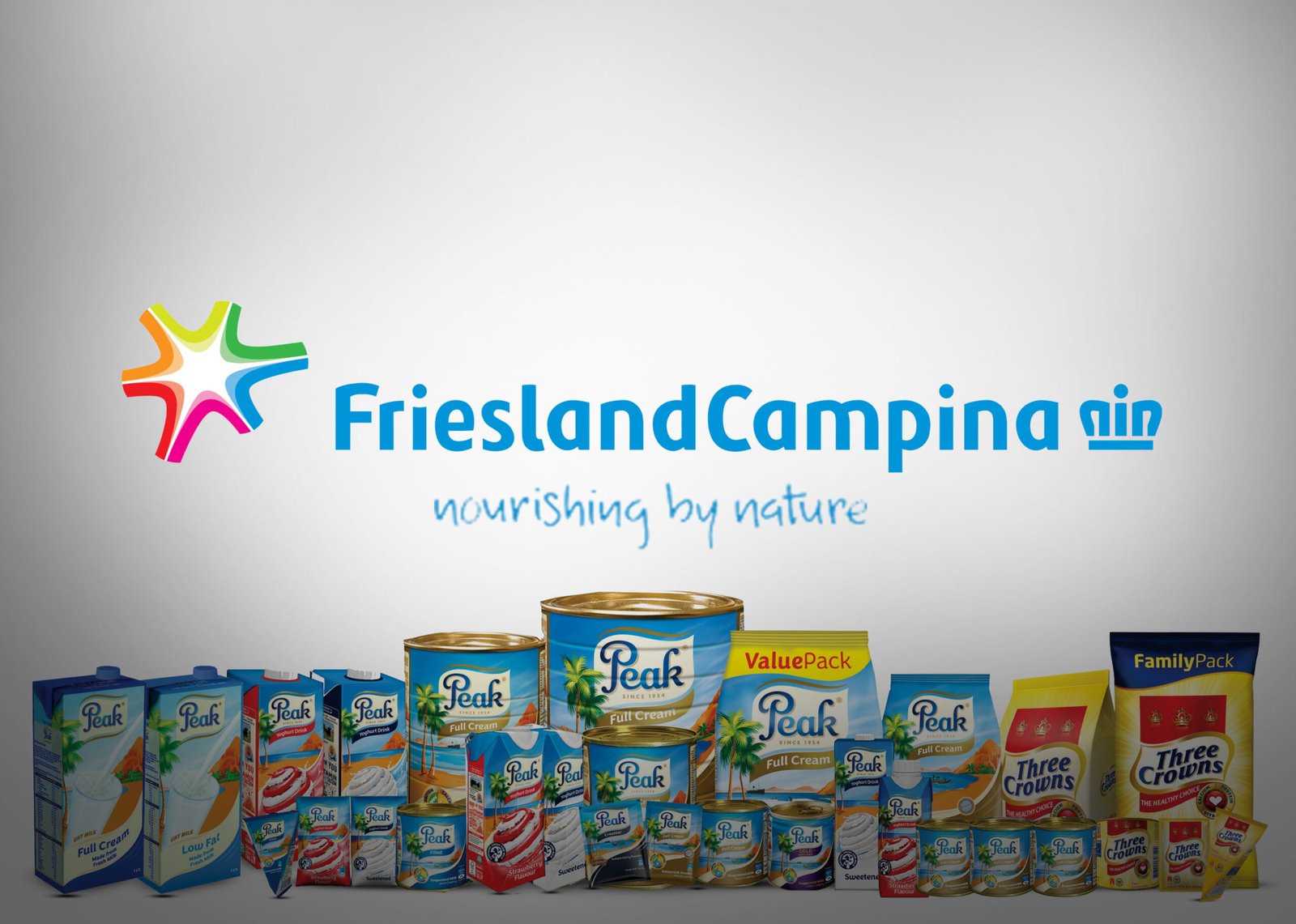 FRIESLAND CAMPINA LOGOArtboard 1